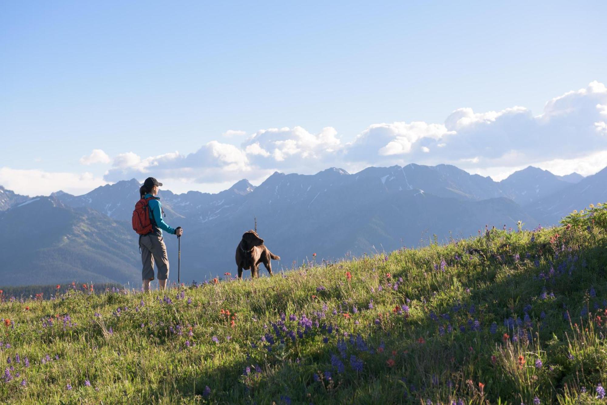 Lift House Lodge, Vail Lionshead Studio Condo, Walk To Gondola מראה חיצוני תמונה
