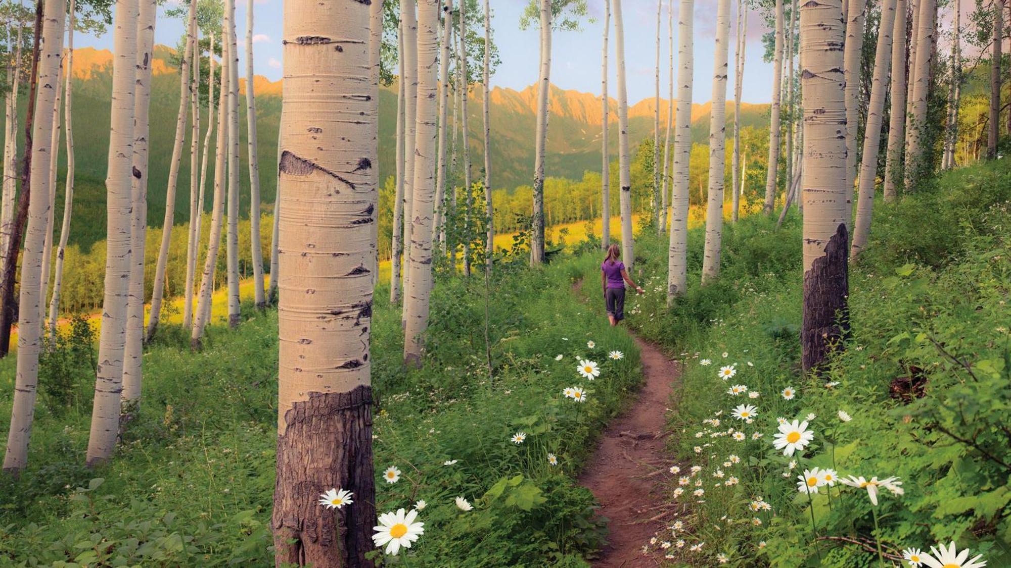 Lift House Lodge, Vail Lionshead Studio Condo, Walk To Gondola מראה חיצוני תמונה